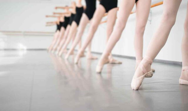 https://shreeganeshpackers.co.in/wp-content/uploads/2019/04/inner_image_dance_04-640x379.jpg